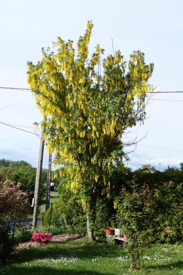Gite D'Maisala Les Mesanges Heidwiller 외부 사진